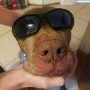 Meet your Posher, Ashlyn